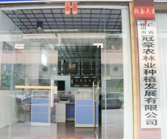 公司风采